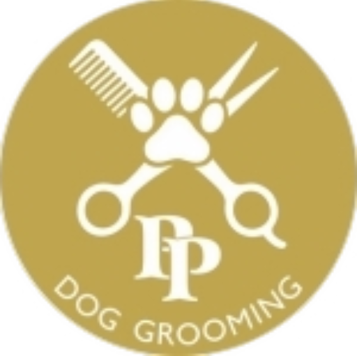 platinumpawsdoggrooming.com